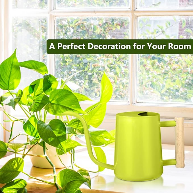 Watering Can Indoor Plants, 35oz Small Stainless Steel Metal Watering Can - Image 3