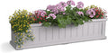 Mayne Cape Cod 4ft Window Box by Mayne