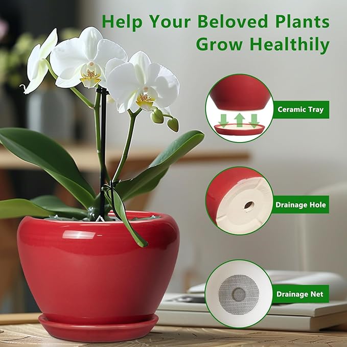 10 Inch Plant Pot - Image 5