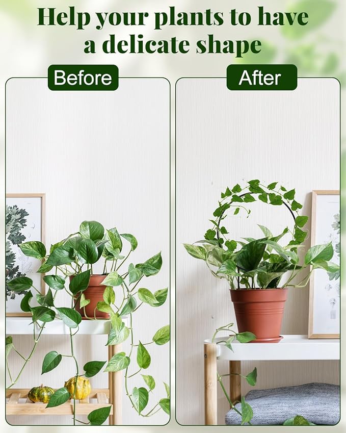 3 Pcs Unique Round Hoya Garden Trellis, Different Small Houseplant Trellis - Image 4