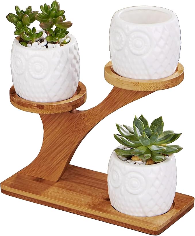 FLOWERPLUS Planter Pots Indoor, 3 Pack 3 Inch White Ceramic Decorative Small by Flowerplus