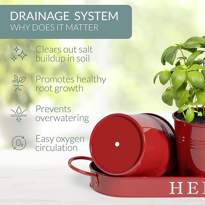 Barnyard Designs Indoor Herb Garden Planter Set - Image 7