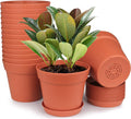 homenote Pots for Plants, 15 Pack 6 Inch Plastic Planters by HOMENOTE