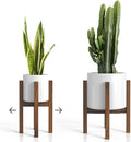 Mid Century Plant Stand by Sophia+Mills