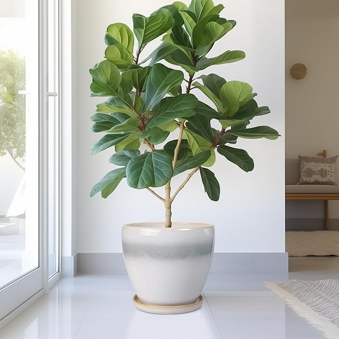 Ceramic Planter - Image 4