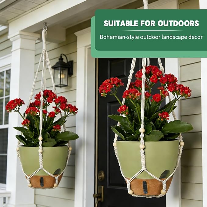 Self-Watering Hanging Planters for Indoor Plants Set 2-Piece Includes Plant - Image 5