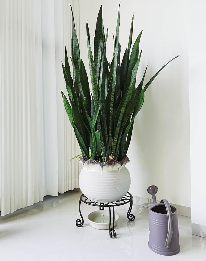2 Pack Heavy Duty Iron Plant Stand, 11.8'' Diameter, Powder Coated, Sturdy & - Image 3