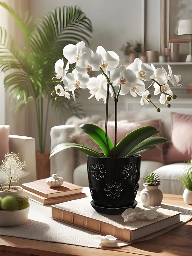 Oairse 6 inch Orchid Pots with Holes, Indoor Plant - Image 7