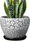 Ceramic Plant Pot 8 Inch by Ceramicfor