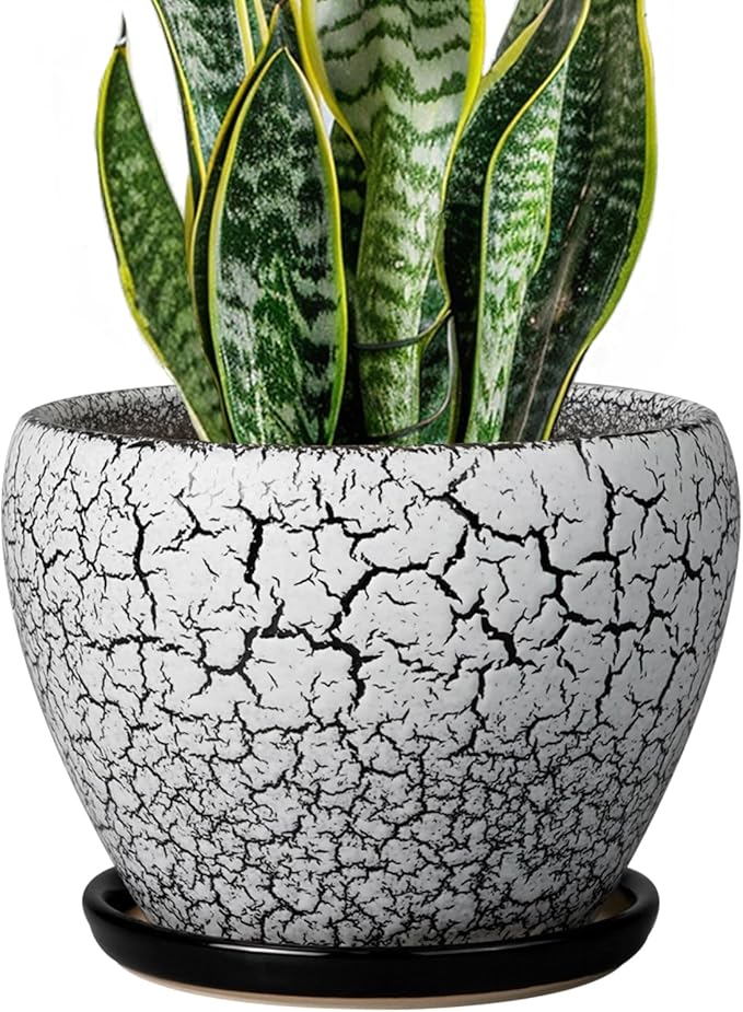 Ceramic Plant Pot 8 Inch by Ceramicfor