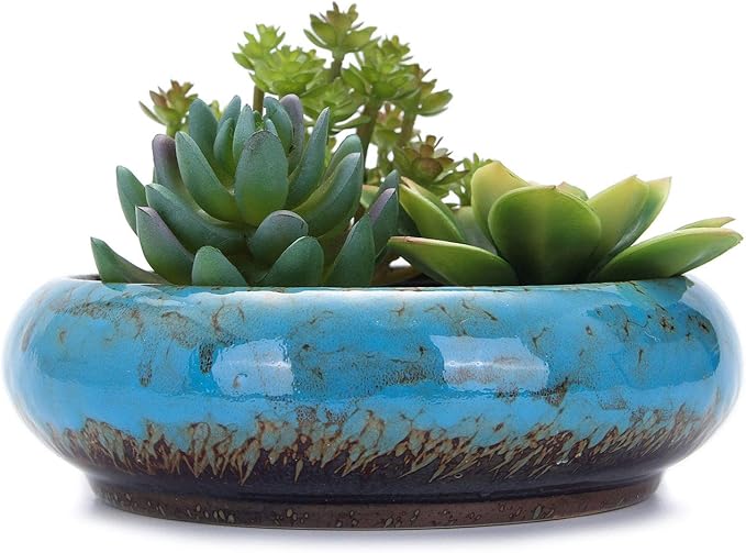 VanEnjoy 7.3 inch Round Large Shallow Succulent Ceramic Glazed Planter Pots by VanEnjoy