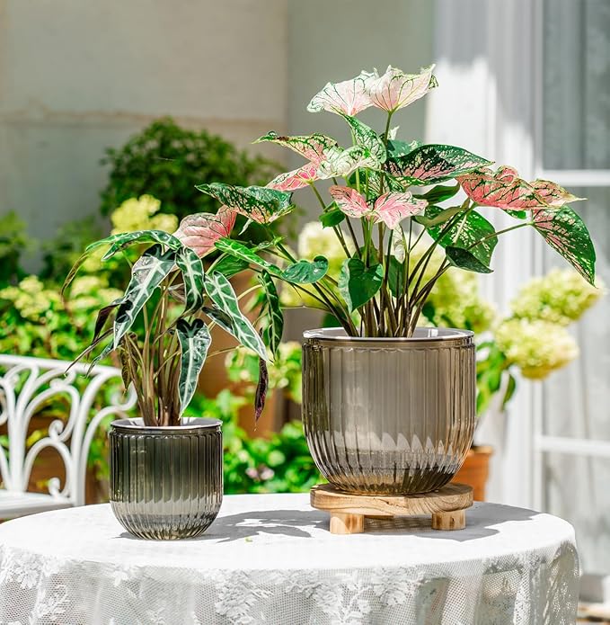 Melphoe Self Watering Pots for Indoor Plants Planter, 8.3/5.3 Inch 2 Pack - Image 2