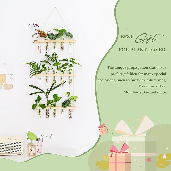 Mkono 3 Tiered Wall Hanging Plant Terrarium - Image 3