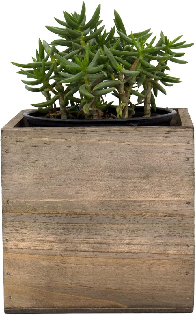 CYS EXCEL Cube Planter Box - Image 5