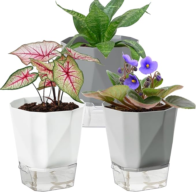 3 Pack Self Watering Flower Pots 6.5 Inch, Plant Pots by Samhe