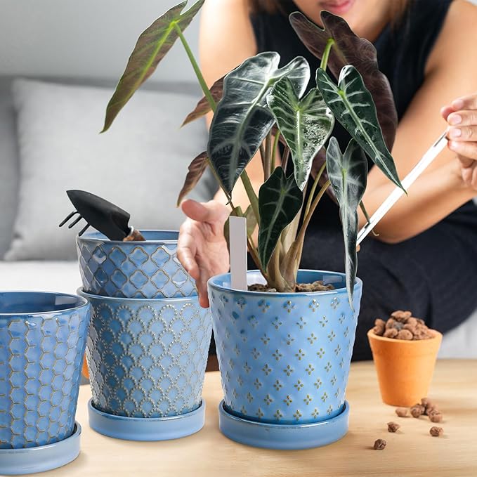 EFISPSS Plant Pots, 5 Inch Pots - Image 3