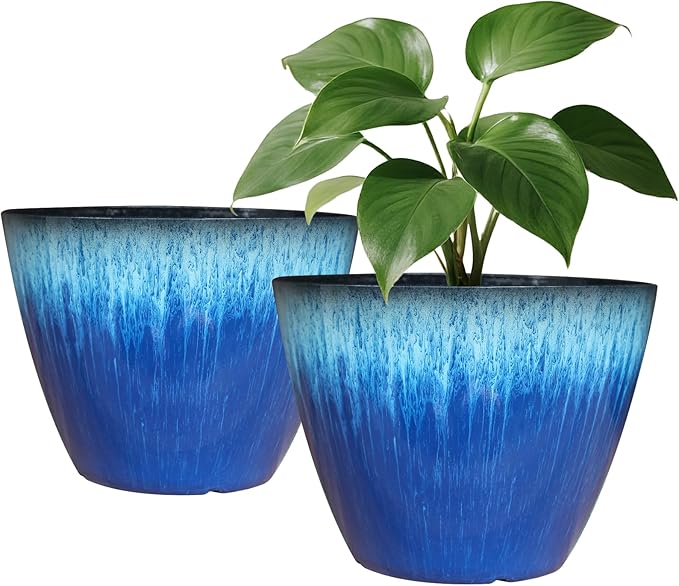 Pack of 2 Flower Pots, Plastic Plant Pots by LesOasis