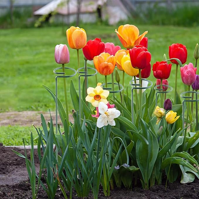 12 Pack 18 Inch Plant Support Stakes, Metal Single stemmed Flower Support - Image 8