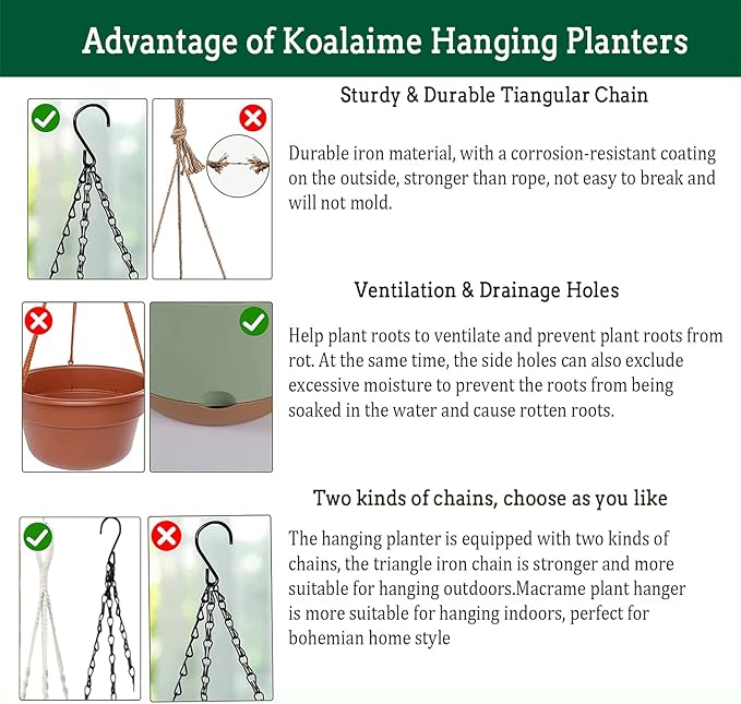 Hanging Planter Self Watering 10 Inch, 2 Pack Indoor Outdoor Hanging Baskets - Image 6