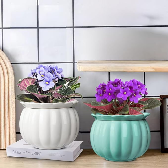 BUYMAX African Violet Pots, 6 inch Pumpkin-Style Ceramic Easy Self Watering - Image 6