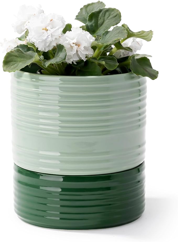 Self Watering Pots for Indoor Plants, 6 Inch Ceramic Self Watering Plant Pot by FayoulasGarden