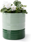 Self Watering Pots for Indoor Plants, 6 Inch Ceramic Self Watering Plant Pot by FayoulasGarden