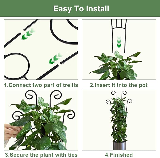 32.6in Monstera Plant Support Stakes - Image 4