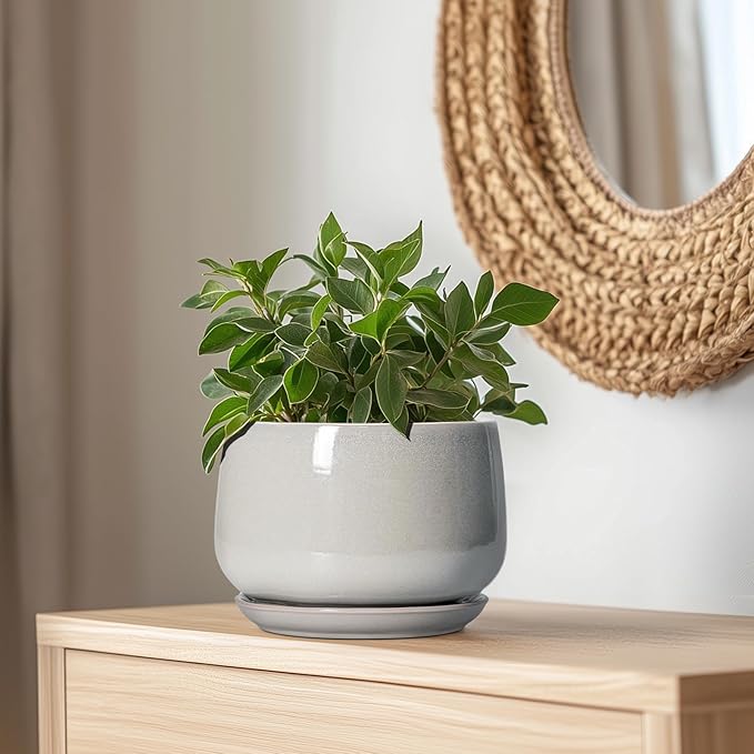 G EPGardening Ceramic Plant Pots - Image 5