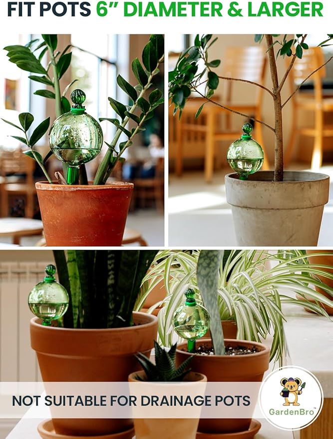 16 Oz Plant Watering Globes for Indoor Plants - Image 5