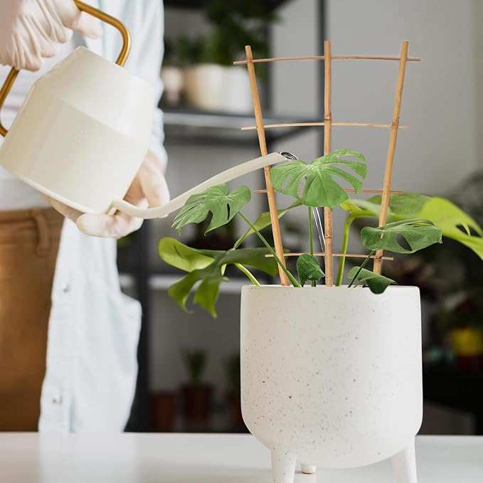 Plant Trellis Indoor 6 Pack Bamboo Trellis - Image 6