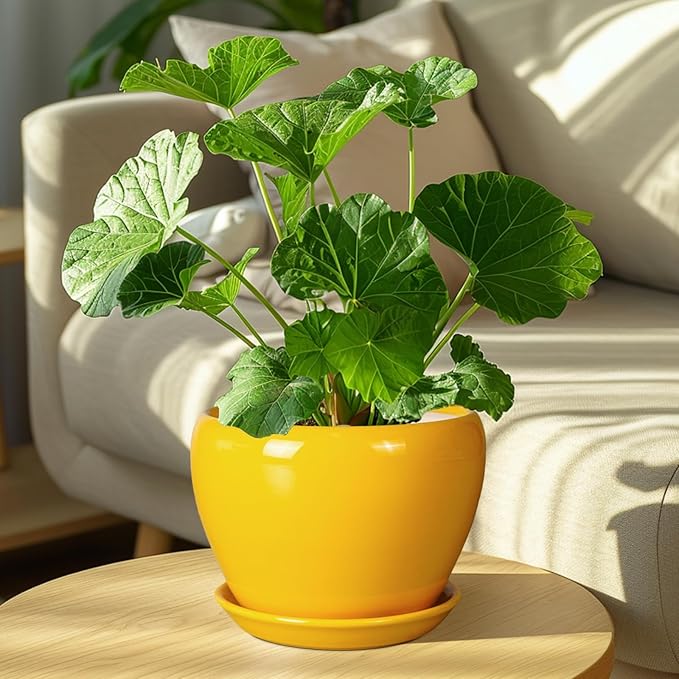 8 Inch Plant Pot - Image 7