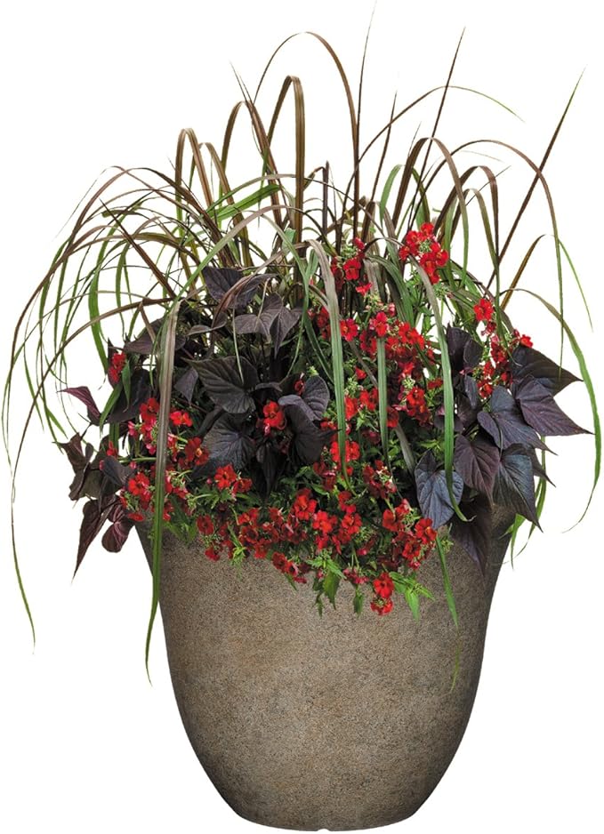 Classic Home and Garden Honeysuckle Resin Flower Pot Planter, Fossil Stone - Image 6