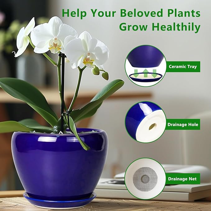 Ceramic Plant Pot 8 Inch - Image 6