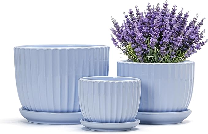 Ton Sin Sky Blue Ceramic Flower Pots, Modern Indoor Decorative Plant Pots Set by TonSin