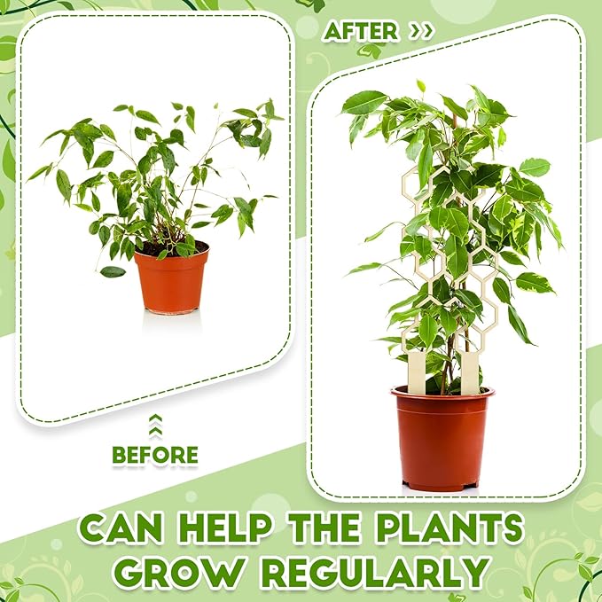 Nuenen 5 Pack Indoor Plant Trellis - Image 4