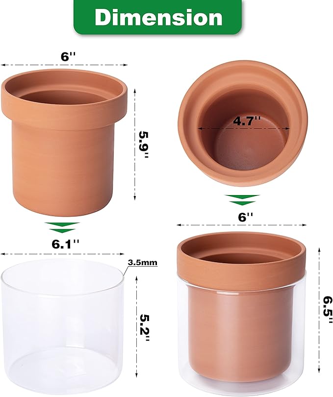 Phoenix Vine 6 Inch Self Watering Planter Pot, Terracotta Clay Pot - Image 4