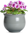 6 Inch Ceramic African Violet Pot, Easy Self Watering Pots by Teagas