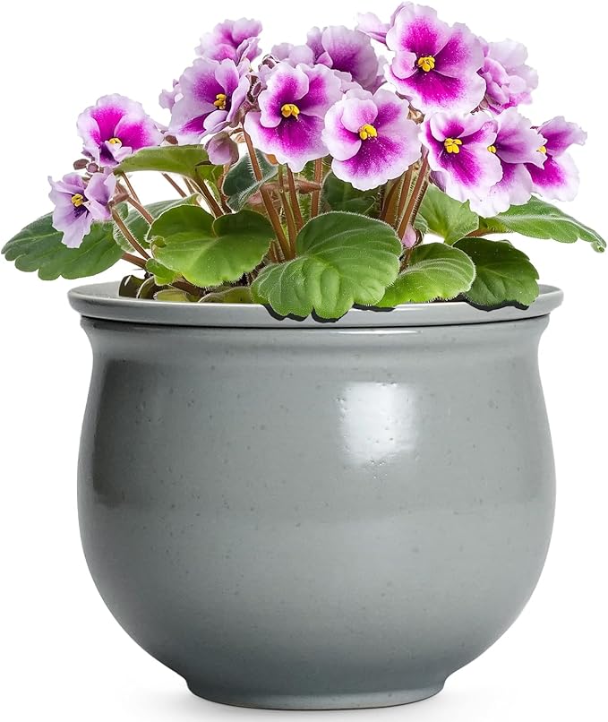 6 Inch Ceramic African Violet Pot, Easy Self Watering Pots by Teagas