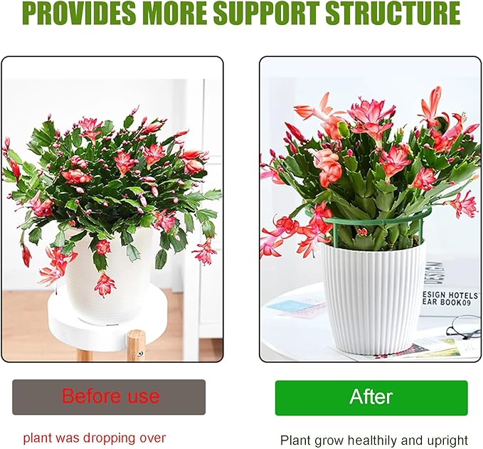 36 Pack Plant Support Stakes for Indoor Plants, Half Round Plant Stakes Ring - Image 2