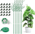 6 Pack Plant Support Stakes for Indoor Plants, 39.37 Inch Tall Twig Plant Sticks by AOM
