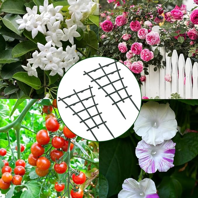 Trellis Small Outdoor, Mini Vine Support Indoor Plant Trellis - Image 6