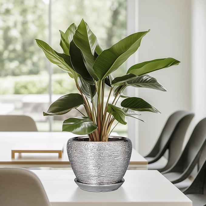 Ceramic Planter - Image 8