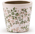 Ceramic Planter with Drainage Hole, Plastic Tray & Mesh, 6 Inch by TEWEIQI