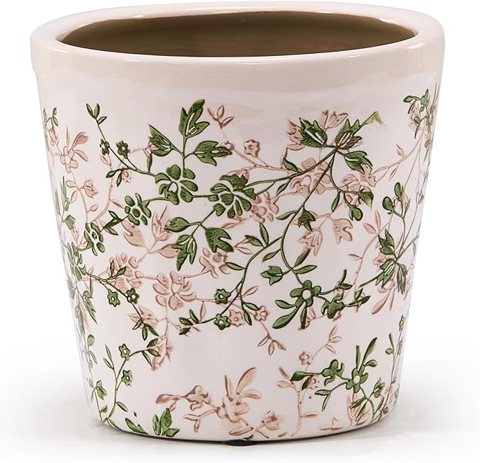 Ceramic Planter with Drainage Hole, Plastic Tray & Mesh, 6 Inch by TEWEIQI