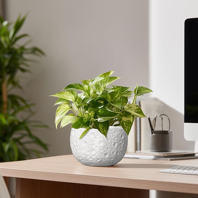 Ceramic Pots for Plants - Image 8