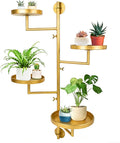 Rotating Window Plant Shelves by Unknown