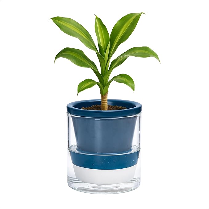 D'vine Dev 4 Inch Design Self Watering Planter by DvineDevPlanterPotsandStand