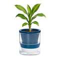 D'vine Dev 4 Inch Design Self Watering Planter by DvineDevPlanterPotsandStand