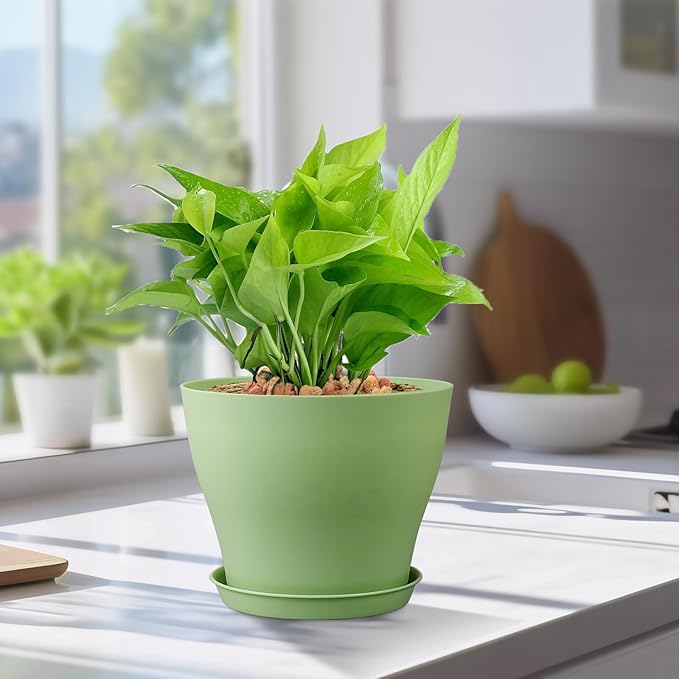 6 inch Plastic Nursery Pots, 16 Pack Plant Pots - Image 5