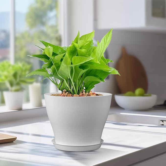 6 inch Plastic Nursery Pots, 16 Pack Plant Pots - Image 5